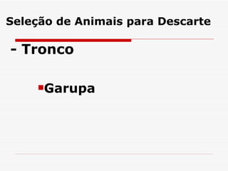 Seleção de Animais para Descarte - Tronco Garupa   