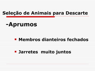 Seleção de Animais para Descarte -Aprumos Membros dianteiros fechados Jarretes  muito juntos 