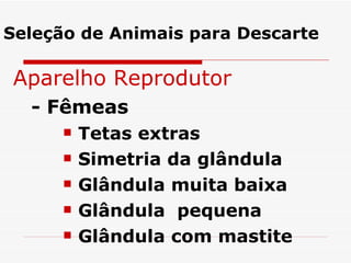 Aparelho Reprodutor - Fêmeas Tetas extras Simetria da glândula Glândula muita baixa Glândula  pequena Glândula com mastite Seleção de Animais para Descarte 