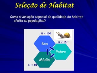 Seleção de Habitat
Como a variação espacial da qualidade de habitat
  afeita as populações?


                     N = 100...