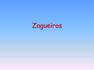 Zagueiros
 