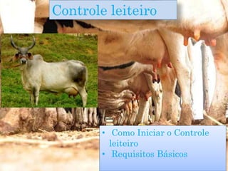 • Como Iniciar o Controle
leiteiro
• Requisitos Básicos
Controle leiteiro
 