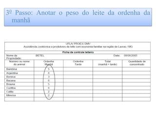 30 Passo: Anotar o peso do leite da ordenha da
manhã
 