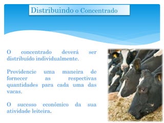 Distribuindo o Concentrado
O concentrado deverá ser
distribuído individualmente.
Providencie uma maneira de
fornecer as respectivas
quantidades para cada uma das
vacas.
O sucesso econômico da sua
atividade leiteira.
 