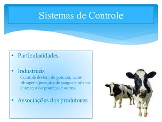 Sistemas de Controle
• Particularidades
• Industriais
Controle do teor de gordura; lacto
filtragem; pesquisa de sangue e pús no
leite; teor de proteína, e outros.
• Associações dos produtores
 