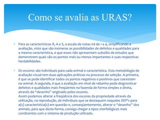  Para as características R, A e S, a escala de notas irá de 1 a 4, simplificando a
avaliação, visto que são inúmeras as possibilidades de defeitos e qualidades para
a mesma característica, e que esses não apresentam subsídio de estudos que
demonstrem quais são os pontos mais ou menos importantes e suas respectivas
herdabilidades.
 Os escores são individuais para cada animal e característica. Esta metodologia de
avaliação visual tem duas aplicações práticas no processo de seleção. A primeira,
é que se pode identificar todos os pontos negativos e positivos que coexistam
no animal. A segunda, é que a avaliação em nível de rebanho pode diagnosticar
defeitos e qualidades mais freqüentes na fazenda de forma simples e direta,
através do “desenho” originado pelos escores.
Assim podemos alterar a freqüência dos escores da propriedade através da
utilização, na reprodução, de indivíduos que se destaquem naquelas DEP’s para
a(s) característica(s) em questão e, conseqüentemente, alterar o “desenho” dos
animais, para que desta forma, consiga chegar a tipos morfológicos mais
condizentes com o sistema de produção utilizado.
Como se avalia as URAS?
 