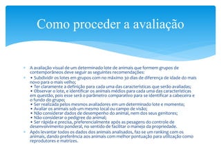  A avaliação visual de um determinado lote de animais que formem grupos de
contemporâneos deve seguir as seguintes recomendações:
 • Subdividir os lotes em grupos com no máximo 30 dias de diferença de idade do mais
novo para o mais velho;
• Ter claramente a definição para cada uma das características que serão avaliadas;
• Observar o lote, e identificar os animais médios para cada uma das características
em questão, pois esse será o parâmetro comparativo para se identificar a cabeceira e
o fundo do grupo;
• Ser realizada pelos mesmos avaliadores em um determinado lote e momento;
• Avaliar os animais sob um mesmo local ou campo de visão;
• Não considerar dados de desempenho do animal, nem dos seus genitores;
• Não considerar o pedigree do animal;
• Ser rápida e precisa, preferencialmente após as pesagens do controle de
desenvolvimento ponderal, no sentido de facilitar o manejo da propriedade.
 Após levantar todos os dados dos animais analisados, faz-se um ranking com os
animais, dando preferência aos animais com melhor pontuação para utilização como
reprodutores e matrizes.
Como proceder a avaliação
 
