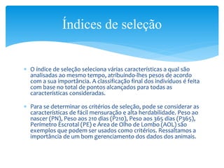  O índice de seleção seleciona várias características a qual são
analisadas ao mesmo tempo, atribuindo-lhes pesos de acordo
com a sua importância. A classificação final dos indivíduos é feita
com base no total de pontos alcançados para todas as
características consideradas.
 Para se determinar os critérios de seleção, pode se considerar as
características de fácil mensuração e alta herdabilidade. Peso ao
nascer (PN), Peso aos 210 dias (P210), Peso aos 365 dias (P365),
Perímetro Escrotal (PE) e Área de Olho de Lombo (AOL) são
exemplos que podem ser usados como critérios. Ressaltamos a
importância de um bom gerenciamento dos dados dos animais.
Índices de seleção
 