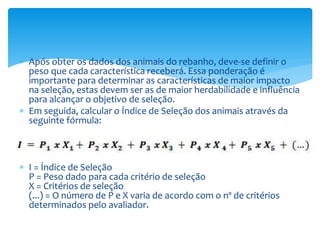  Após obter os dados dos animais do rebanho, deve-se definir o
peso que cada característica receberá. Essa ponderação é
importante para determinar as características de maior impacto
na seleção, estas devem ser as de maior herdabilidade e influência
para alcançar o objetivo de seleção.
 Em seguida, calcular o Índice de Seleção dos animais através da
seguinte fórmula:
 I = Índice de Seleção
P = Peso dado para cada critério de seleção
X = Critérios de seleção
(...) = O número de P e X varia de acordo com o nº de critérios
determinados pelo avaliador.
 