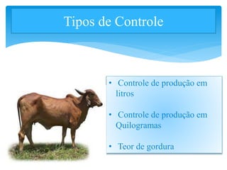 Tipos de Controle
• Controle de produção em
litros
• Controle de produção em
Quilogramas
• Teor de gordura
 