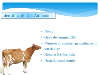 Identificação Dos Animais
• Nome
• Grau de sangue (GS)
• Número do registro genealógico ou
particular
• Nome e GS dos pais
• Data de nascimento
 