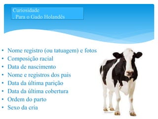 Curiosidade
. Para o Gado Holandês
• Nome registro (ou tatuagem) e fotos
• Composição racial
• Data de nascimento
• Nome e registros dos pais
• Data da última parição
• Data da última cobertura
• Ordem do parto
• Sexo da cria
 