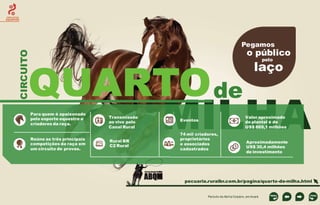 CIRCUITOS
EQUESTRES

CIRCUITO

Pegamos

QUARTO de
Para quem é apaixonado
pelo esporte equestre e
criadores da raça.

Reúne as três principais
competições da raça em
um circuito de provas.

Transmissão
ao vivo pelo
Canal Rural

Rural BR
C2 Rural

o público
pelo

laço

MILHA
Valor aproximado
do plantel é de
US$ 869,1 milhões

Eventos

74 mil criadores,
proprietários
e associados
cadastrados

Aproximadamente
US$ 30,4 milhões
de investimento

pecuaria.ruralbr.com.br/pagina/quarto-de-milha.html

Período de Abril a Outubro, em Avaré

 