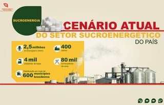 DESENVOLVIMENTO
DE CULTURAS

SUCROENERGIA

CENÁRIO ATUAL

DO SETOR SUCROENERGÉTICO
2,5 milhões

400

de empregados diretos

usinas

4 mil

80 mil

indústrias de base

fornecedores
de cana

Distribuição em mais de

600 brasileiros

municípios

DO PAÍS

 