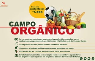DESENVOLVIMENTO
DE CULTURAS

Consumo

sustentável
na

Copa

CAMPO

ORGÂNICO
Levar produtos orgânicos e sustentáveis para hotéis, pousadas, bares,
restaurantes, supermercados, estádios das 12 cidades-sede da Copa do Mundo
Acompanhar desde a produção até a venda dos produtos
Colocar as principais regiões produtoras de orgânicos em pauta
São Paulo, Rio de Janeiro, Minas Gerais e parte do nordeste

Estabelecer um canal de comunicação entre consumidores e produtores
de Orgânicos com apoio de um projeto na Câmara de Comércio Exterior

 