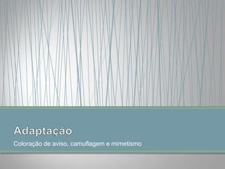 Coloração de aviso, camuflagem e mimetismo

 