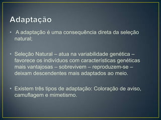 • A adaptação é uma consequência direta da seleção
natural;
• Seleção Natural – atua na variabilidade genética –
favorece os indivíduos com características genéticas
mais vantajosas – sobrevivem – reproduzem-se –
deixam descendentes mais adaptados ao meio.
• Existem três tipos de adaptação: Coloração de aviso,
camuflagem e mimetismo.

 