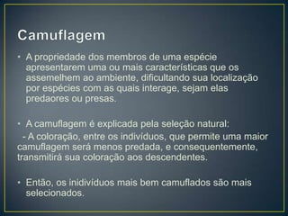 • A propriedade dos membros de uma espécie
apresentarem uma ou mais características que os
assemelhem ao ambiente, dificultando sua localização
por espécies com as quais interage, sejam elas
predaores ou presas.

• A camuflagem é explicada pela seleção natural:
- A coloração, entre os indivíduos, que permite uma maior
camuflagem será menos predada, e consequentemente,
transmitirá sua coloração aos descendentes.
• Então, os inidivíduos mais bem camuflados são mais
selecionados.

 