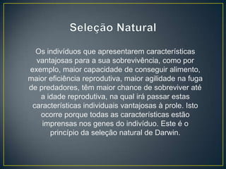 Os indivíduos que apresentarem características
vantajosas para a sua sobrevivência, como por
exemplo, maior capacidade de conseguir alimento,
maior eficiência reprodutiva, maior agilidade na fuga
de predadores, têm maior chance de sobreviver até
a idade reprodutiva, na qual irá passar estas
características individuais vantajosas à prole. Isto
ocorre porque todas as características estão
imprensas nos genes do indivíduo. Este é o
princípio da seleção natural de Darwin.

 