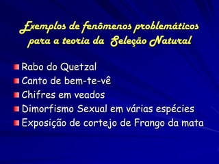 Exemplos de fenômenos problemáticos
 para a teoria da Seleção Natural

Rabo do Quetzal
Canto de bem-te-vê
Chifres em veados
Dimorfismo Sexual em várias espécies
Exposição de cortejo de Frango da mata
 