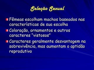 Seleção Sexual
Fêmeas escolham machos baseados nas
características de sua escolha
Coloração, ornamentos e outros
caracteres “vistosos”
Caracteres geralmente desvantagem na
sobrevivência, mas aumentam o aptidão
reprodutivo
 