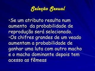 Seleção Sexual

•Se um atributo resulta num
aumento da probabilidade de
reprodução será selecionado.
•Os chifres grandes de um veado
aumentam a probabilidade de
ganhar uma luta com outro macho
e o macho dominante depois tem
acesso as fêmeas
 