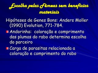 Escolha pelas Fêmeas sem benefícios
              materiais
Hipóteses de Genes Bons: Anders Moller
 (1990) Evolution, 771-784.
 Andorinha: coloração e comprimento
 das plumas do rabo determina escolha
 do parceiro
 Carga de parasitas relacionada a
 coloração e comprimento do rabo
 