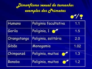 Dimorfismo sexual do tamanho:
        exemplos dos Primatas

Humano        Poliginia facultativa   1.1

Gorila        Poliginia, 1            1.5

Orangotango Poliginia, solitária      2.0

Gibão         Monogamia               1.02

Chimpanzé     Poliginia, muitos       1.3

Bonobo        Poliginia, muitos       1.2
 