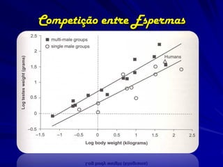 Competição entre Espermas
 