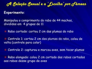 A Seleção Sexual e a ‘Escolha’ por Fêmeas
Experimento:

Manipulou o comprimento do rabo de 44 machos,
divididos em 4 grupos de 11

 Rabo cortado: cortou 2 cm das plumas do rabo

 Controle 1: cortou 2 cm das plumas do rabo, colou de
volta (controle para colar)

 Controle 2: capturou e marcou aves, sem tocar plumas

 Rabo alongado: colou 2 cm cortado dos rabos cortados
aos rabos desse grupo de aves
 