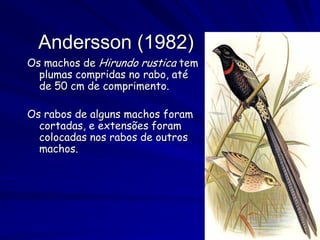 Andersson (1982)
Os machos de Hirundo rustica tem
  plumas compridas no rabo, até
  de 50 cm de comprimento.

Os rabos de alguns machos foram
  cortadas, e extensões foram
  colocadas nos rabos de outros
  machos.
 