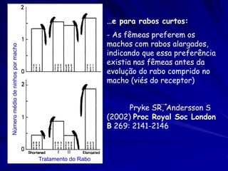 …e para rabos curtos:
                                                        - As fêmeas preferem os
                                                        machos com rabos alargados,
Número médio de ninhos por macho




                                                        indicando que essa preferência
                                                        existia nas fêmeas antes da
                                                        evolução do rabo comprido no
                                                        macho (viés do receptor)


                                                              Pryke SR, Andersson S
                                                        (2002) Proc Royal Soc London
                                                        B 269: 2141-2146



                                   Tratamento do Rabo
 