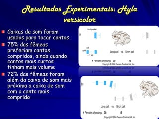 Resultados Experimentais: Hyla
                versicolor
Caixas de som foram
usados para tocar cantos
75% das fêmeas
preferiam cantos
compridos, ainda quando
cantos mais curtos
tinham mais volume
72% das fêmeas foram
além da caixa de som mais
próxima a caixa de som
com o canto mais
comprido
 