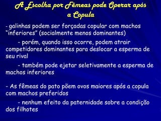 A Escolha por Fêmeas pode Operar após
                 a Copula
- galinhas podem ser forçadas copular com machos
“inferiores” (socialmente menos dominantes)
    - porém, quando isso ocorre, podem atrair
competidores dominantes para deslocar a esperma de
seu rival
   - também pode ejetar seletivamente a esperma de
machos inferiores

- As fêmeas do pato põem ovos maiores após a copula
com machos preferidos
    - nenhum efeito da paternidade sobre a condição
dos filhotes
 