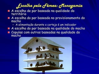 Escolha pela Fêmea: Monogamia
A escolha de par baseada na qualidade do
território
A escolha do par baseada no provisionamento do
macho
– A alimentação durante o cortejo é um indicador
A escolha do par baseada na qualidade do macho
Copulas com outros baseadas na qualidade do
macho
 