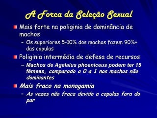 A Forca da Seleção Sexual
Mais forte na poliginia de dominância de
machos
– Os superiores 5-10% dos machos fazem 90%+
  das copulas
Poliginia intermédia de defesa de recursos
– Machos de Agelaius phoeniceus podem ter 15
  fêmeas, comparado a 0 a 1 nos machos não
  dominantes
Mais fraco na monogamia
– As vezes não fraca devido a copulas fora do
  par
 
