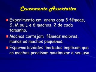 Cruzamento Assortativo
Experimento em arena com 3 fêmeas,
S, M ou L e 6 machos, 2 de cada
tamanho.
Machos cortejam fêmeas maiores,
menos os machos pequenos.
Espermatozóides limitados implicam que
os machos precisam maximizar o seu uso
 