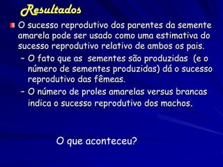 Resultados
O sucesso reprodutivo dos parentes da semente
amarela pode ser usado como uma estimativa do
sucesso reprodutivo relativo de ambos os pais.
 – O fato que as sementes são produzidas (e o
   número de sementes produzidas) dá o sucesso
   reprodutivo das fêmeas.
 – O número de proles amarelas versus brancas
   indica o sucesso reprodutivo dos machos.



         O que aconteceu?
 