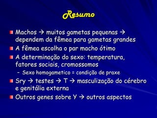 Resumo
Machos  muitos gametas pequenas 
dependem da fêmea para gametas grandes
A fêmea escolha o par macho ótimo
A determinação do sexo: temperatura,
fatores sociais, cromossomos
– Sexo homogametico = condição de praxe
Sry  testes  T  masculização do cérebro
e genitália externa
Outros genes sobre Y  outros aspectos
 