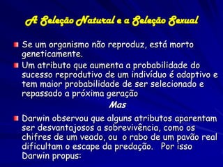 A Seleção Natural e a Seleção Sexual

Se um organismo não reproduz, está morto
geneticamente.
Um atributo que aumenta a probabilidade do
sucesso reprodutivo de um indivíduo é adaptivo e
tem maior probabilidade de ser selecionado e
repassado a próxima geração
                     Mas
Darwin observou que alguns atributos aparentam
ser desvantajosos a sobrevivência, como os
chifres de um veado, ou o rabo de um pavão real
dificultam o escape da predação. Por isso
Darwin propus:
 