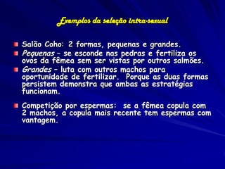 Exemplos da seleção intra-sexual

Salão Coho: 2 formas, pequenas e grandes.
Pequenas – se esconde nas pedras e fertiliza os
ovos da fêmea sem ser vistas por outros salmões.
Grandes – luta com outros machos para
oportunidade de fertilizar. Porque as duas formas
persistem demonstra que ambas as estratégias
funcionam.
Competição por espermas: se a fêmea copula com
2 machos, a copula mais recente tem espermas com
vantagem.
 