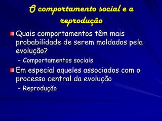 O comportamento social e a
          reprodução
Quais comportamentos têm mais
probabilidade de serem moldados pela
evolução?
– Comportamentos sociais
Em especial aqueles associados com o
processo central da evolução
– Reprodução
 