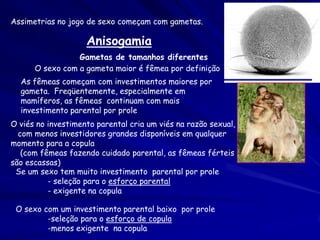 Assimetrias no jogo de sexo começam com gametas.

                    Anisogamia
                 Gametas de tamanhos diferentes
      O sexo com a gameta maior é fêmea por definição
  As fêmeas começam com investimentos maiores por
  gameta. Freqüentemente, especialmente em
  mamíferos, as fêmeas continuam com mais
  investimento parental por prole
O viés no investimento parental cria um viés na razão sexual,
  com menos investidores grandes disponíveis em qualquer
momento para a copula
   (com fêmeas fazendo cuidado parental, as fêmeas férteis
são escassas)
 Se um sexo tem muito investimento parental por prole
          - seleção para o esforço parental
          - exigente na copula

 O sexo com um investimento parental baixo por prole
         -seleção para o esforço de copula
         -menos exigente na copula
 