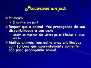 Procura-se um par
Primeiro
– Encontre um par!
Requer que o animal faz propaganda de sua
disponibilidade e seu sexo
– Assim os machos são vistos pelas fêmeas e vice
  versa
Muitos animais tem estruturas anatômicas
com funções que aparentemente somente
são para propaganda sexual…
 
