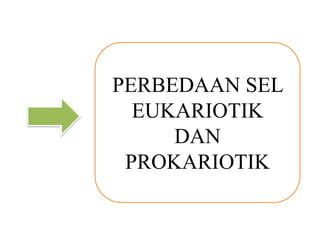 PERBEDAAN SEL
EUKARIOTIK
DAN
PROKARIOTIK
 