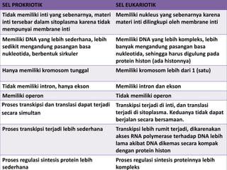SEL PROKRIOTIK SEL EUKARIOTIK
Tidak memiliki inti yang sebenarnya, materi
inti tersebar dalam sitoplasma karena tidak
mempunyai membrane inti
Memiliki nukleus yang sebenarnya karena
materi inti dilingkupi oleh membrane inti
Memiliki DNA yang lebih sederhana, lebih
sedikit mengandung pasangan basa
nukleotida, berbentuk sirkuler
Memiliki DNA yang lebih kompleks, lebih
banyak mengandung pasangan basa
nukleotida, sehingga harus digulung pada
protein histon (ada histonnya)
Hanya memiliki kromosom tunggal Memiliki kromosom lebih dari 1 (satu)
Tidak memiliki intron, hanya ekson Memiliki intron dan ekson
Memiliki operon Tidak memiliki operon
Proses transkipsi dan translasi dapat terjadi
secara simultan
Transkipsi terjadi di inti, dan translasi
terjadi di sitoplasma. Keduanya tidak dapat
berjalan secara bersamaan.
Proses transkipsi terjadi lebih sederhana Transkipsi lebih rumit terjadi, dikarenakan
akses RNA polymerase terhadap DNA lebih
lama akibat DNA dikemas secara kompak
dengan protein histon
Proses regulasi sintesis protein lebih
sederhana
Proses regulasi sintesis proteinnya lebih
kompleks
 