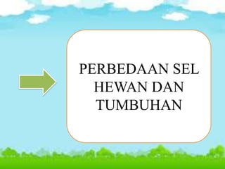 PERBEDAAN SEL
HEWAN DAN
TUMBUHAN
 
