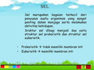 Sel merupakan bagaian terkecil dari
penyusun suatu organimse yang sangat
penting dalam menjaga serta melakukan
aktivitas kehidupan.
Sruktur sel dibagi menjadi dua yaitu
struktur sel prokariotik dan struktur sel
eukariotik.
• Prokariotik  tidak memiliki membran inti
• Eukariotik  memiliki membran inti
SEL
 