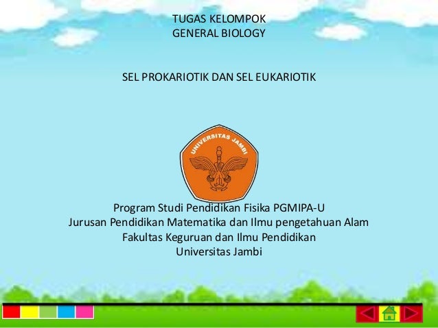 Sel Eukariotik Dan Prokariotik