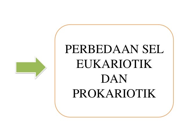  Sel  eukariotik dan  prokariotik